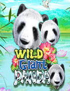 สำรวจโลกสนุกกับซุปเปอร์ สล็อต 444 พร้อมรีวิวแบบจัดเต็ม